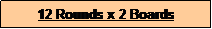 Text Box: 12 Rounds x 2 Boards