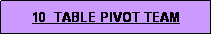 Text Box: 10  TABLE PIVOT TEAM