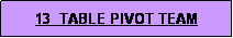 Text Box: 13  TABLE PIVOT TEAM