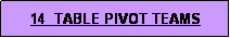 Text Box: 14  TABLE PIVOT TEAMS