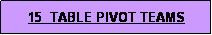 Text Box: 15  TABLE PIVOT TEAMS