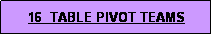 Text Box: 16  TABLE PIVOT TEAMS