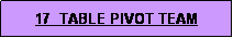 Text Box: 17  TABLE PIVOT TEAM