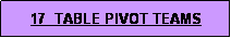 Text Box: 17  TABLE PIVOT TEAMS
