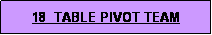 Text Box: 18  TABLE PIVOT TEAM